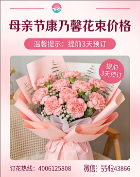 福州鼓楼区花店母亲节康乃馨花束