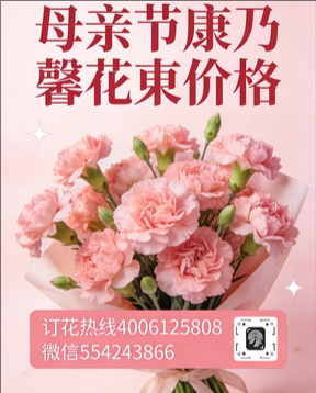 福州鼓楼区花店母亲节康乃馨花束